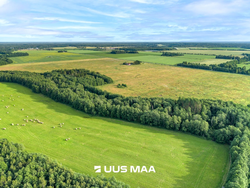 Lääne-Harju vald, Laane küla, Kasemetsa