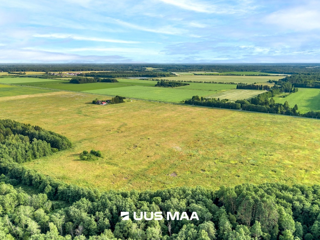 Lääne-Harju vald, Laane küla, Kasemetsa