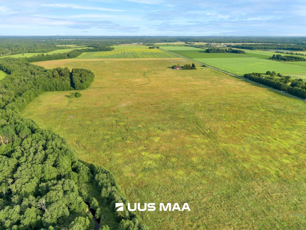 Lääne-Harju vald, Laane küla, Kasemetsa