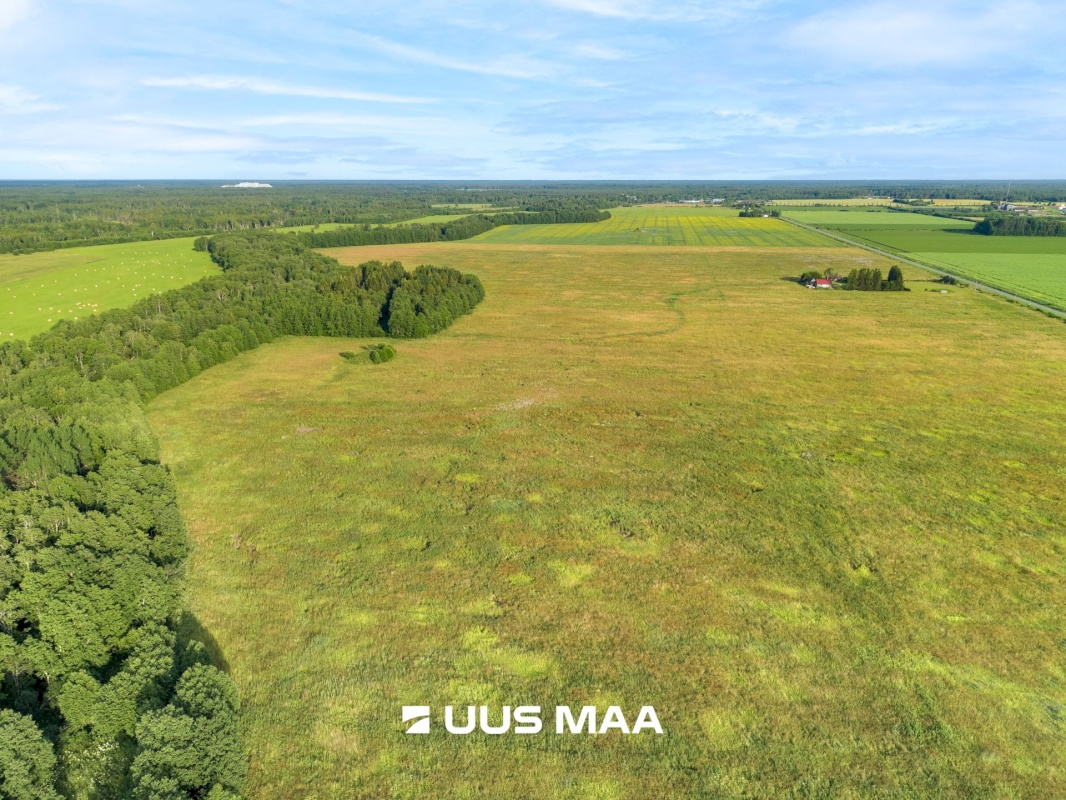 Lääne-Harju vald, Laane küla, Kasemetsa