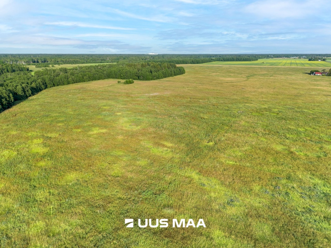 Lääne-Harju vald, Laane küla, Kasemetsa