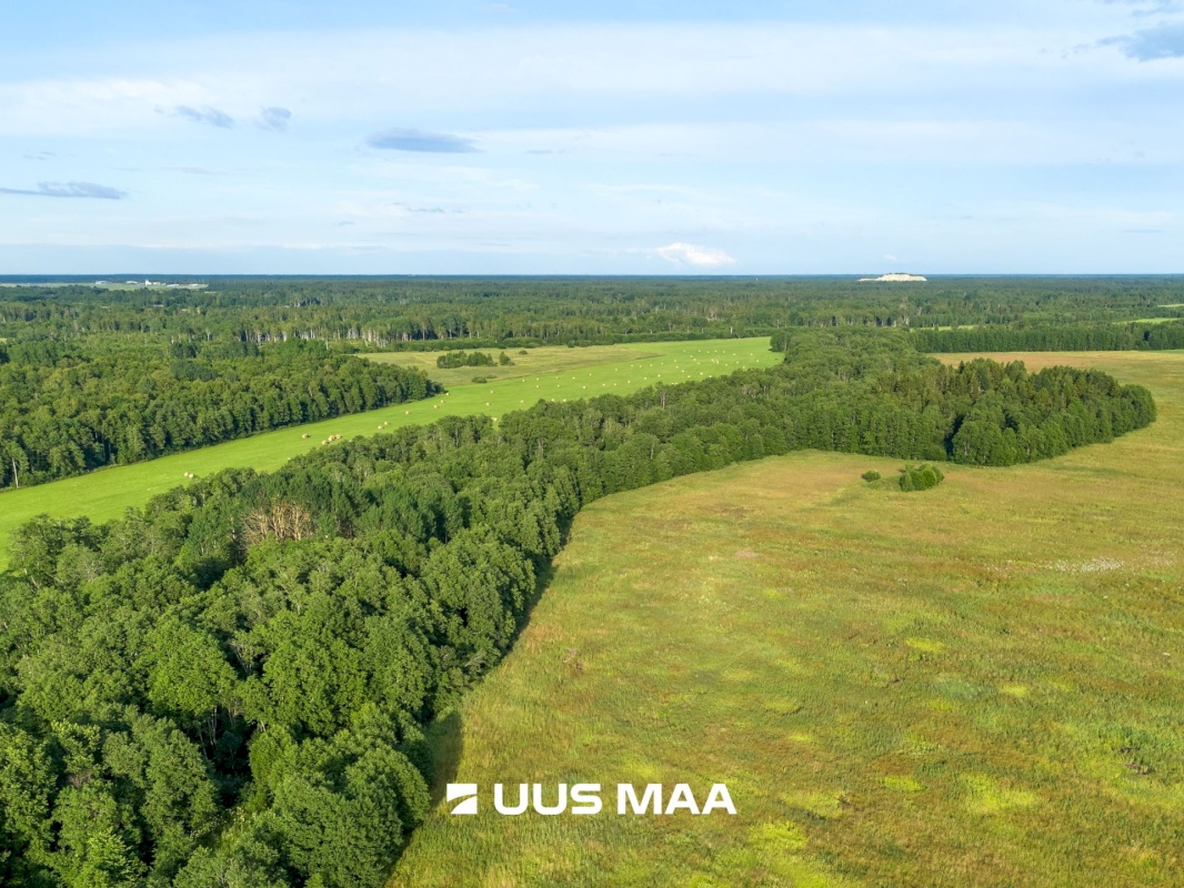 Lääne-Harju vald, Laane küla, Kasemetsa