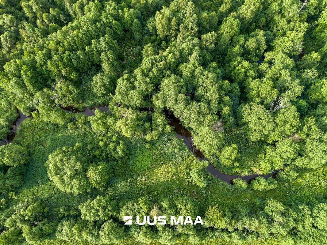 Lääne-Harju vald, Laane küla, Kasemetsa