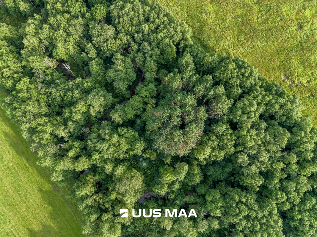 Lääne-Harju vald, Laane küla, Kasemetsa