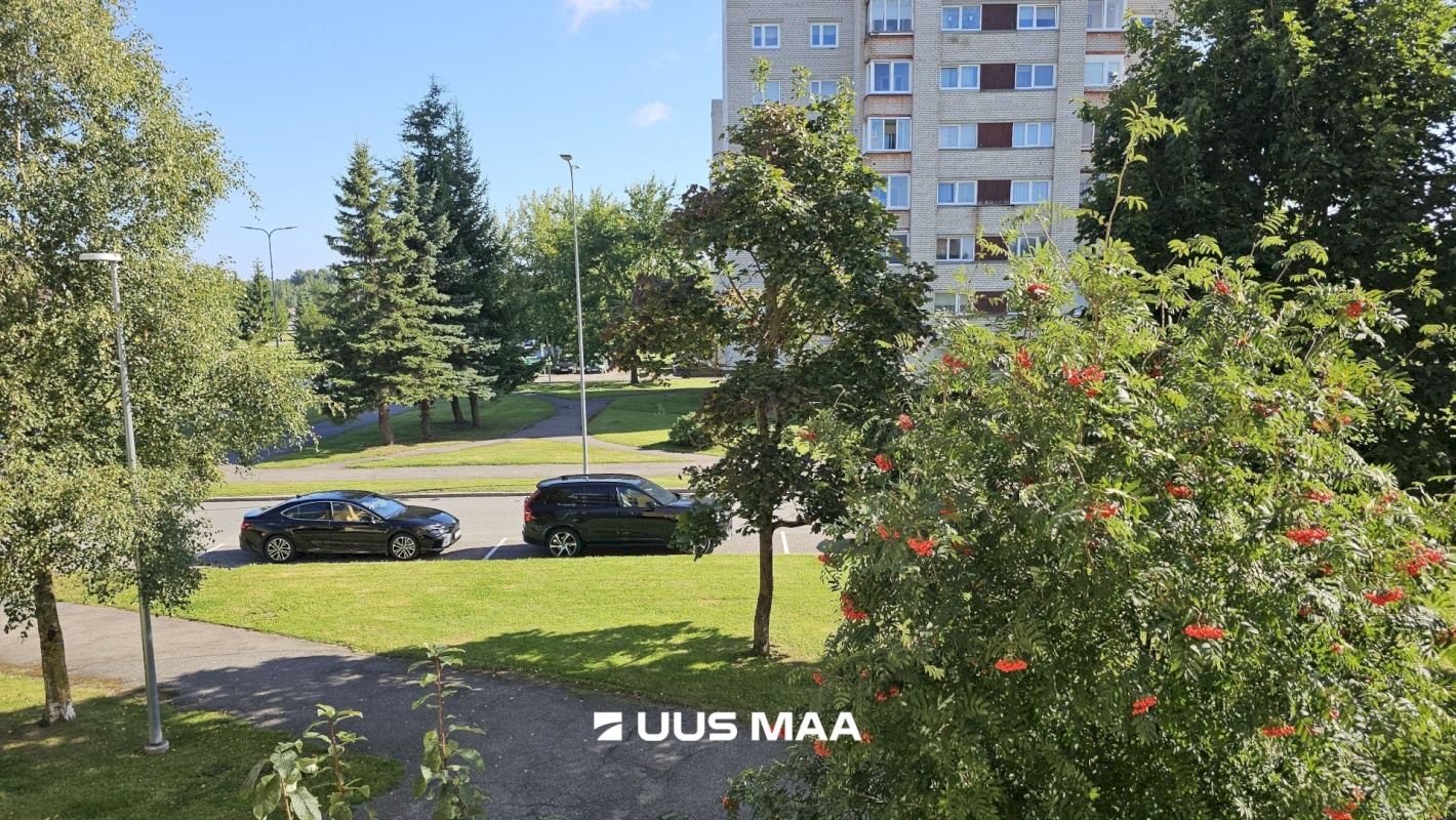 Kohtla-Järve linn, Ahtme linnaosa, Salu 1