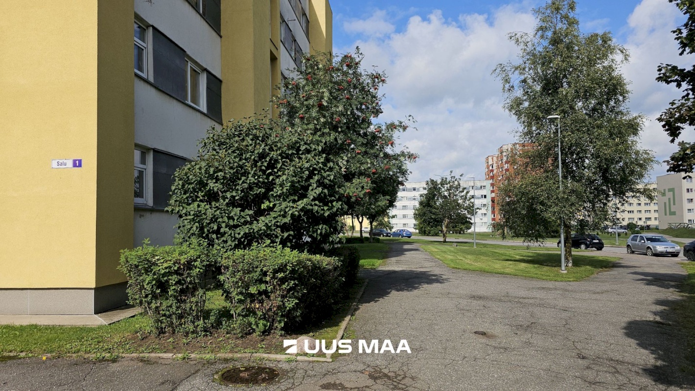 Kohtla-Järve linn, Ahtme linnaosa, Salu 1