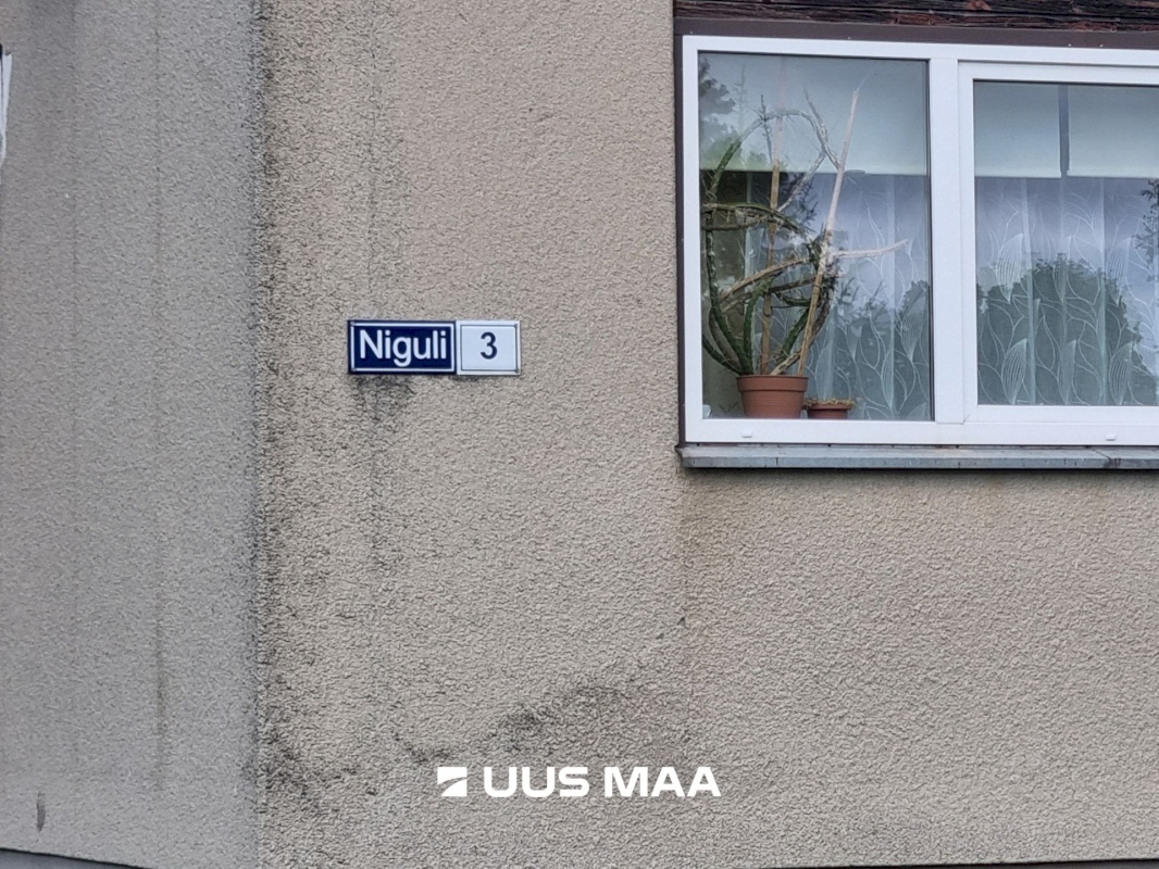Viru-Nigula vald, Viru-Nigula alevik, Niguli 3
