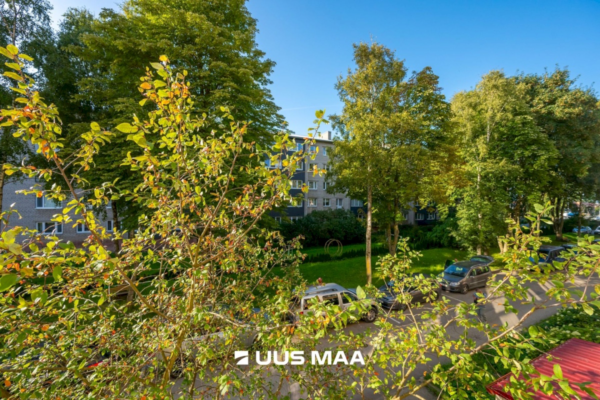 Tallinn, Põhja-Tallinna linnaosa, Erika 10