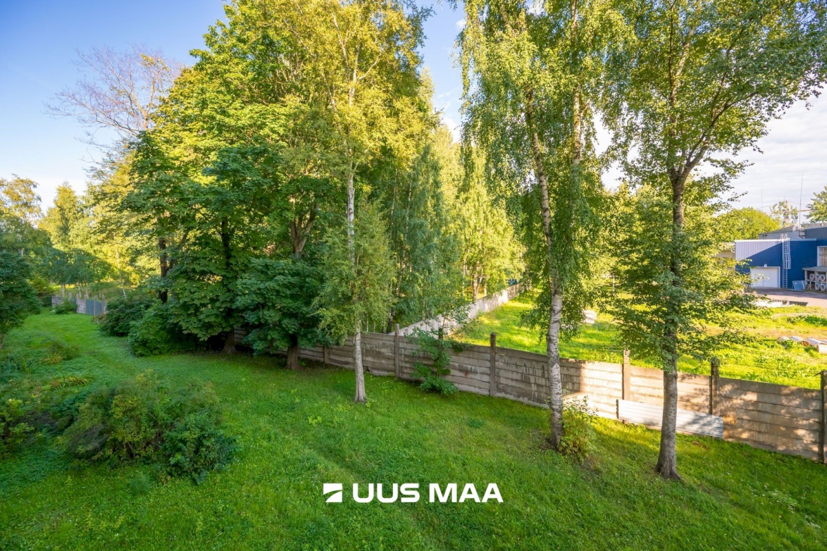 Tallinn, Põhja-Tallinna linnaosa, Erika 10