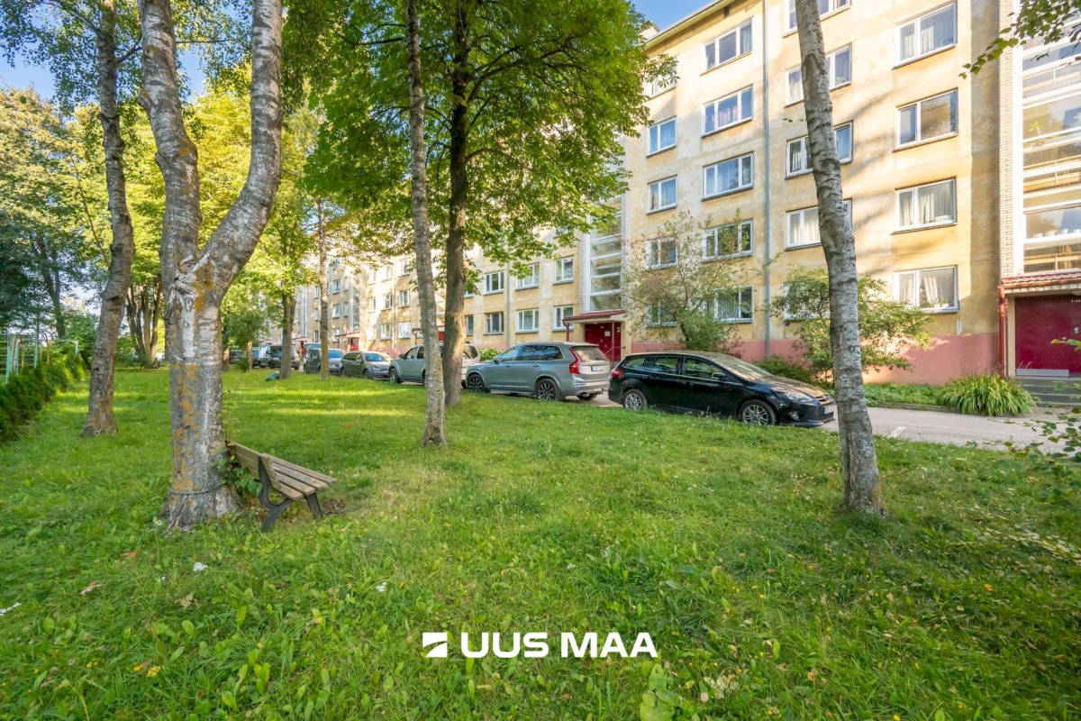 Tallinn, Põhja-Tallinna linnaosa, Erika 10