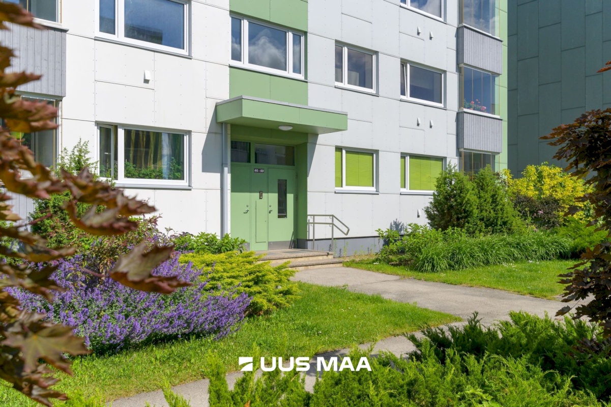 Rakvere linn, Kungla 5-29