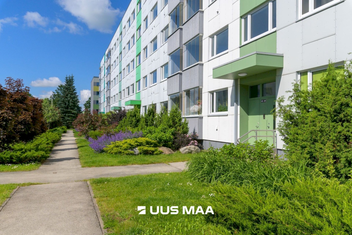 Rakvere linn, Kungla 5-29