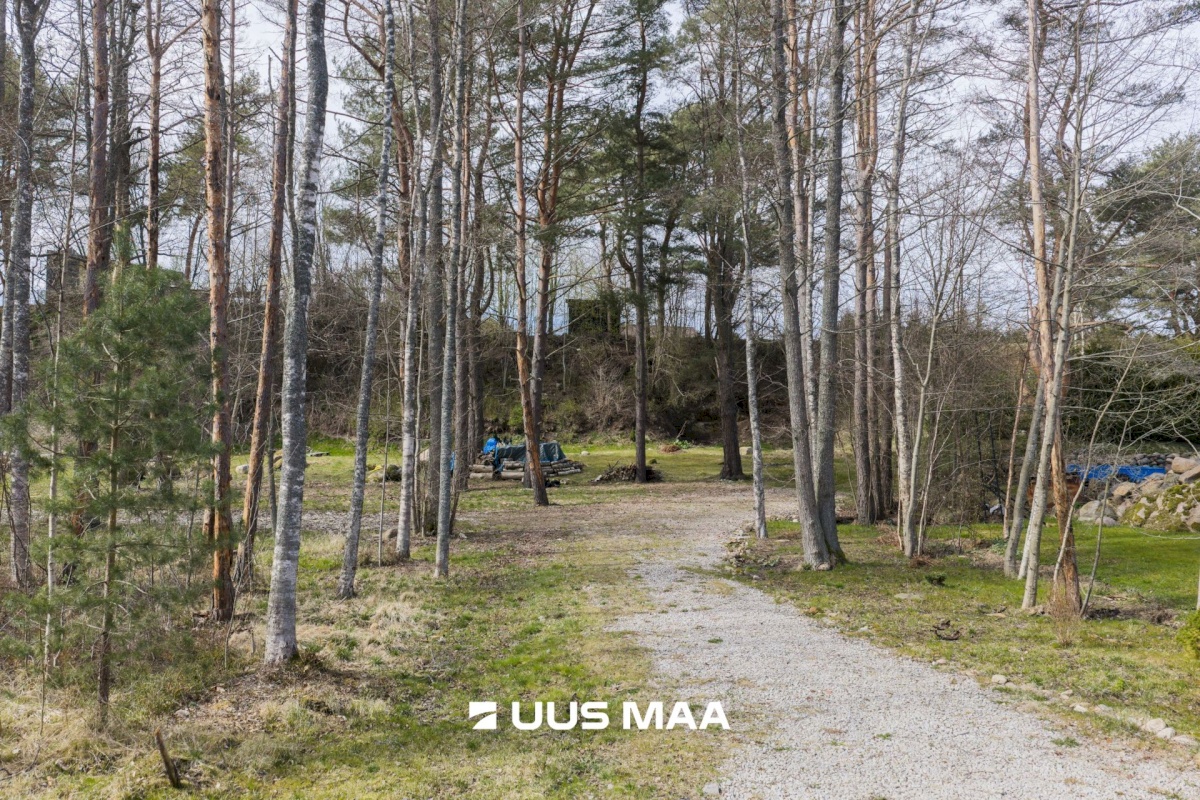 Lääne-Harju vald, Lohusalu küla, Nõlva tee 11