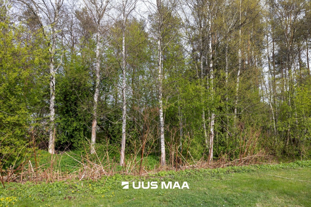 Tallinn, Haabersti linnaosa, Kakumäe, Otsatalu 19