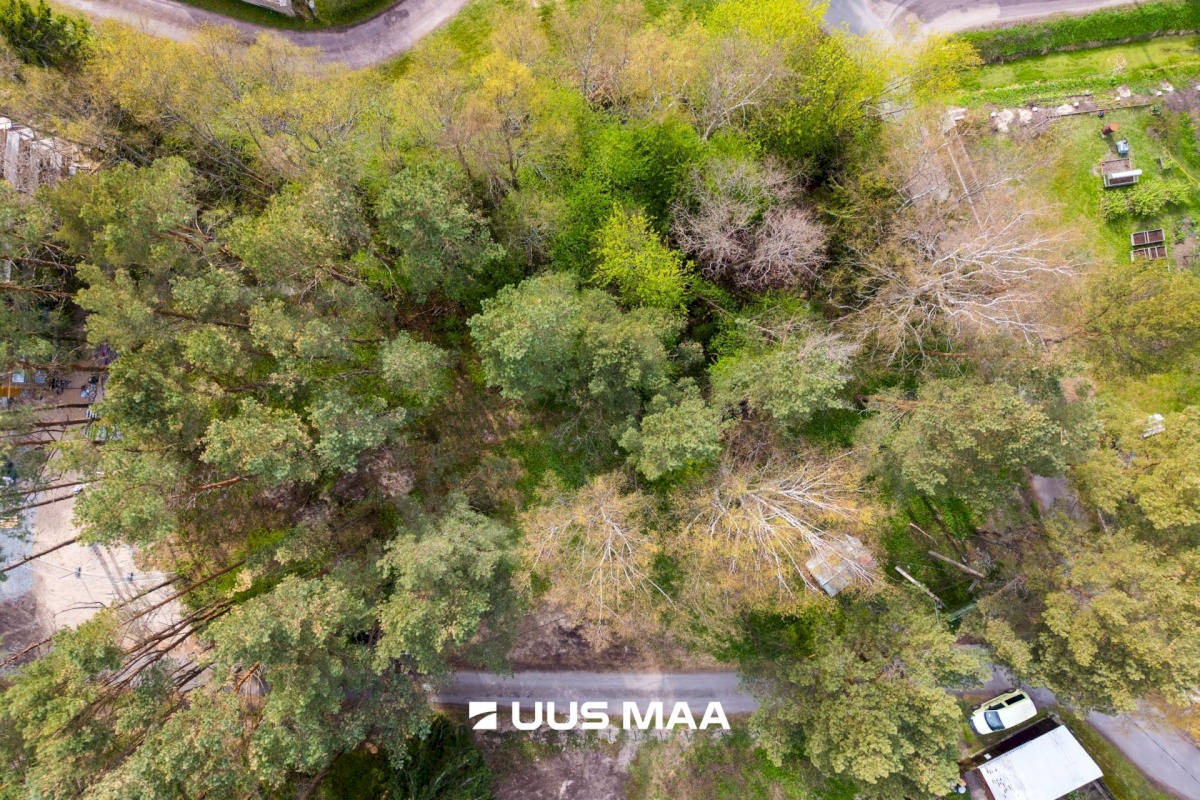 Tallinn, Haabersti linnaosa, Kakumäe, Otsatalu 19