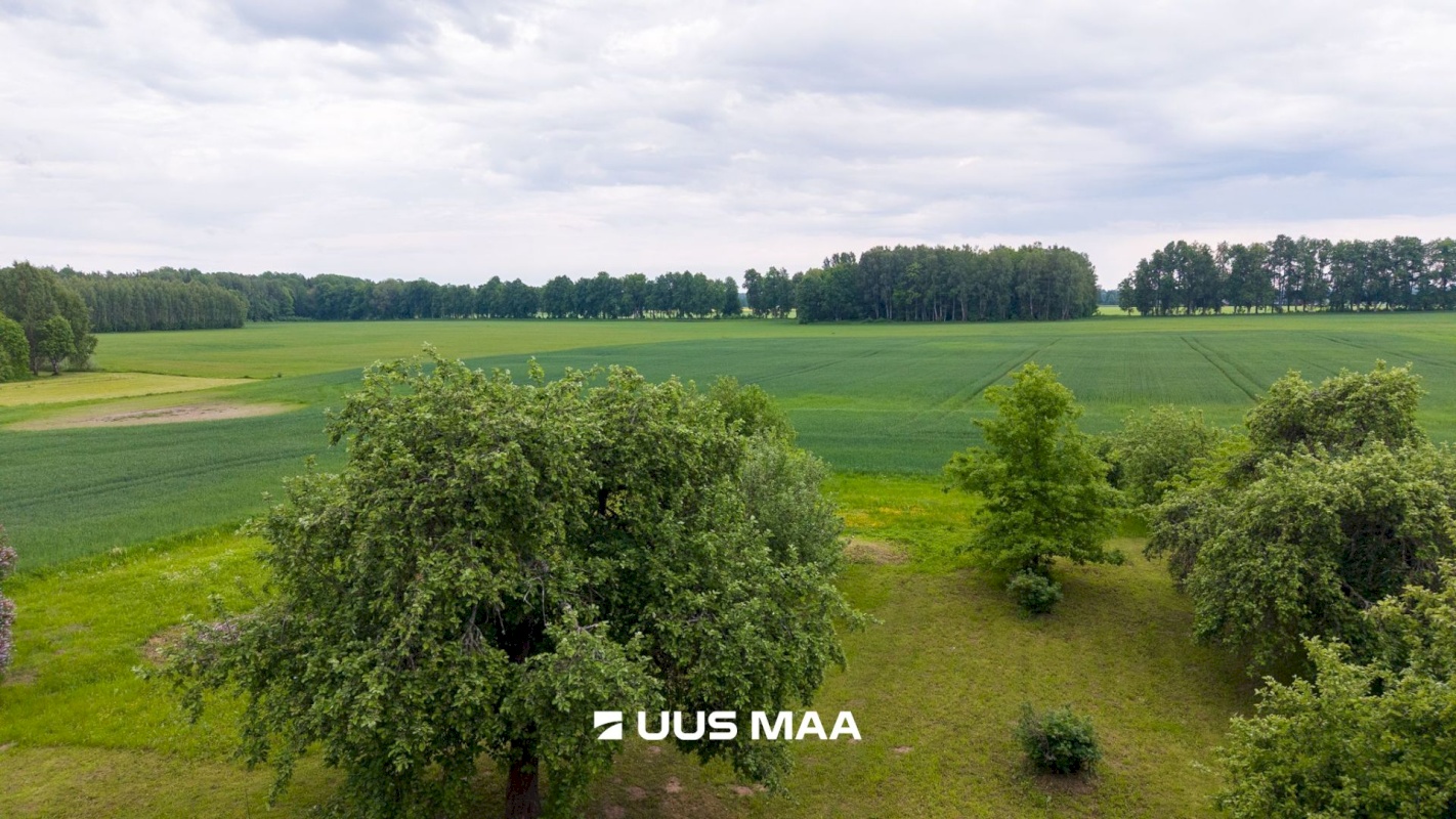Peipsiääre vald, Pilpaküla, Kenaste