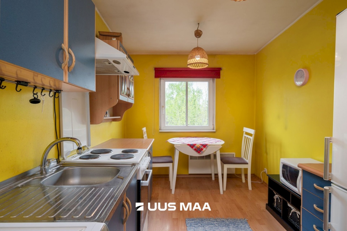 Tartu linn, Tartu linn, Veeriku, L. Puusepa 24