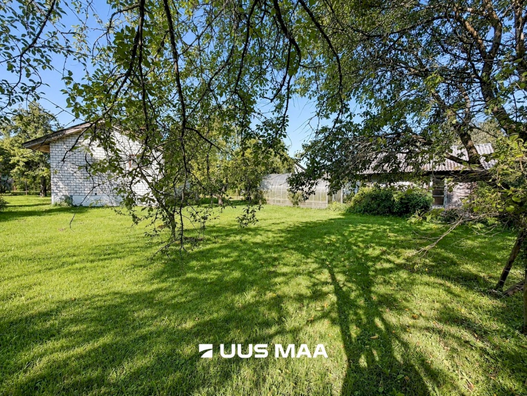 Maardu linn, Sibula 24