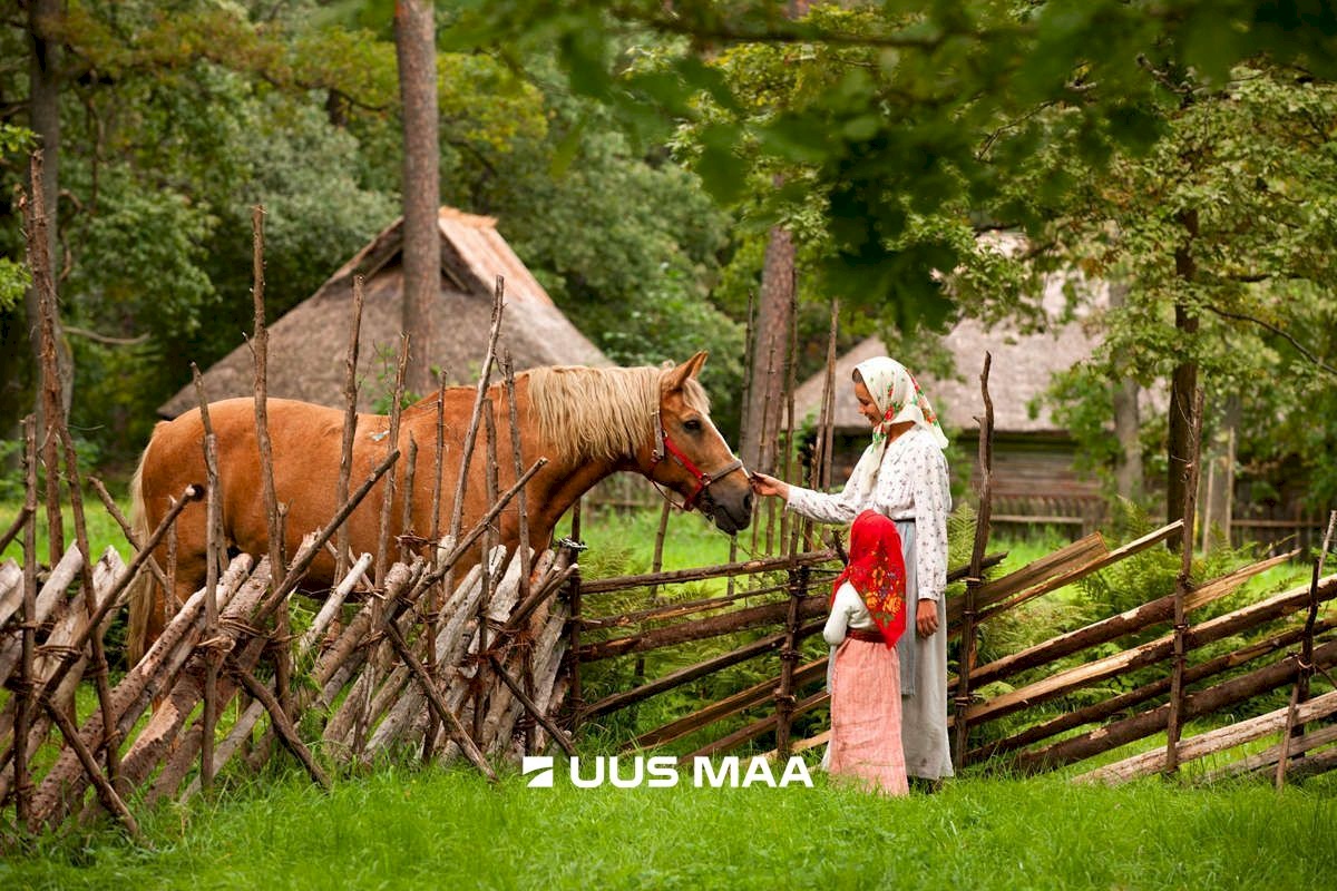 Tallinn, Haabersti linnaosa, Vabaõhumuuseumi tee 1