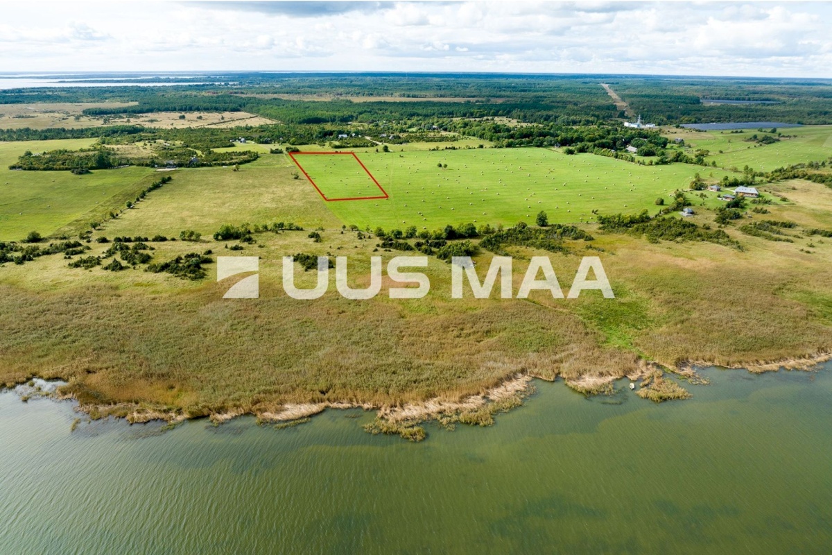 Muhu vald, Võiküla, Toomi