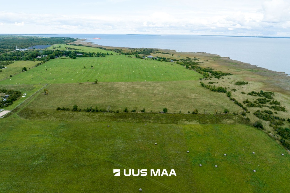 Muhu vald, Võiküla, Toomi