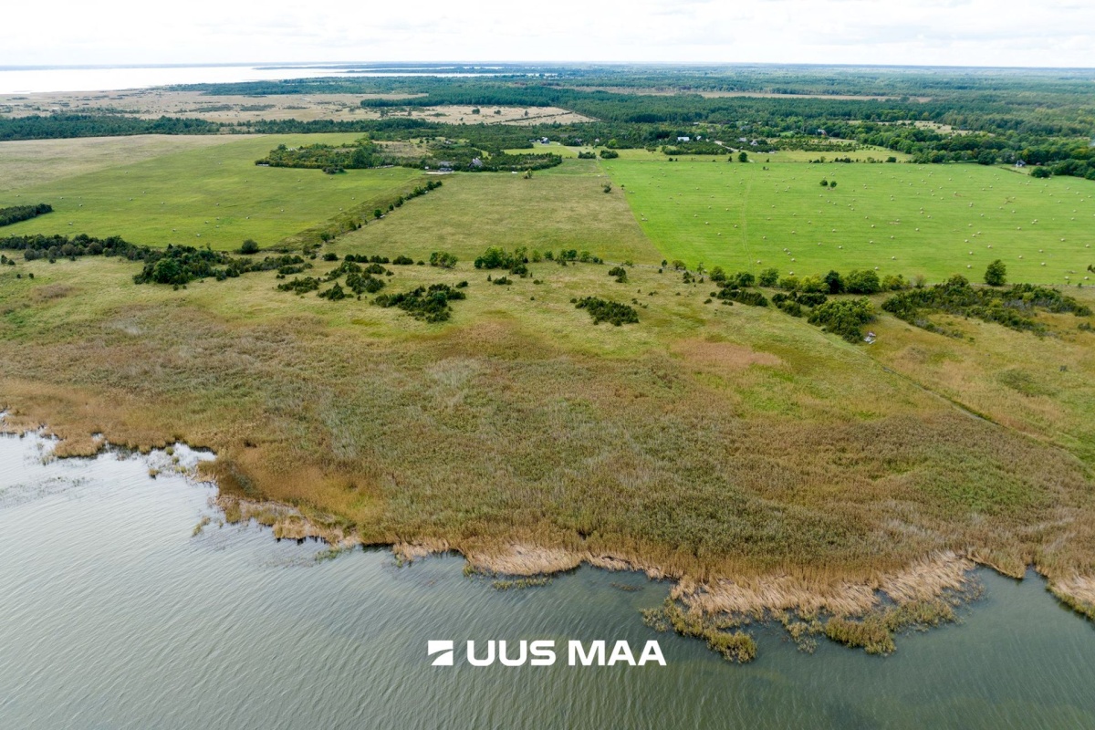 Muhu vald, Võiküla, Toomi