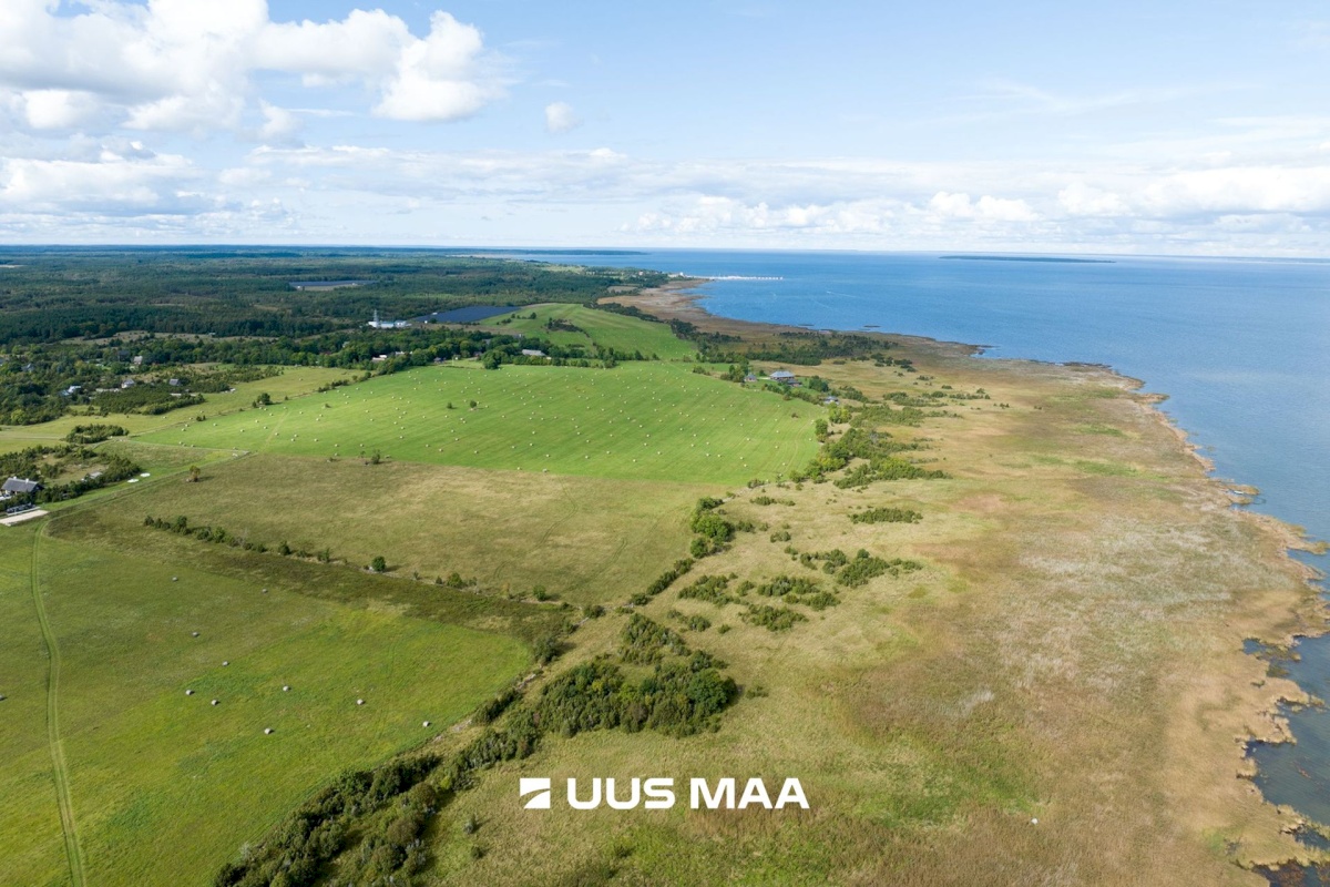 Muhu vald, Võiküla, Toomi