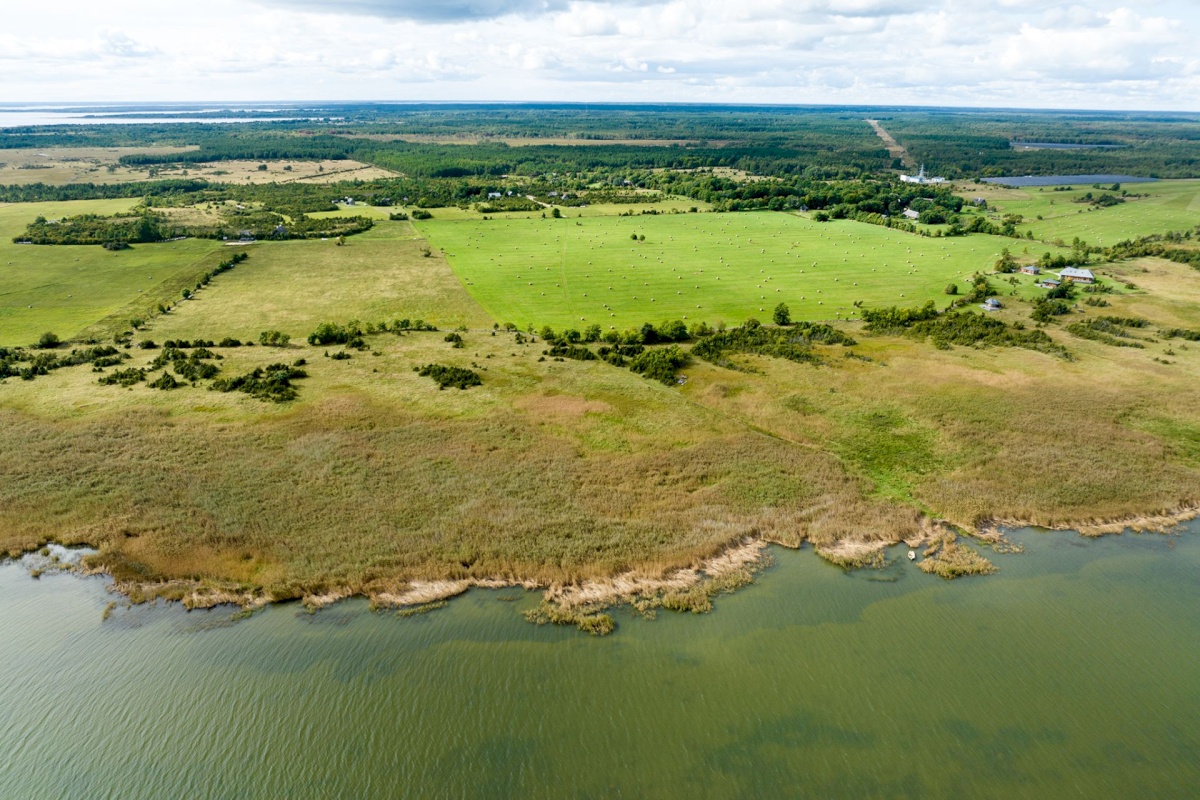 Muhu vald, Võiküla, Toomiranna