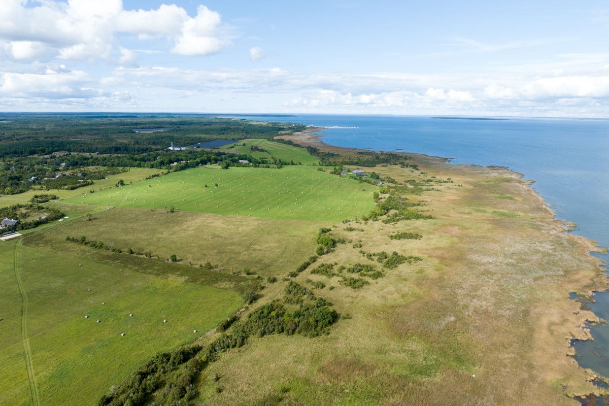 Muhu vald, Võiküla, Toomiranna