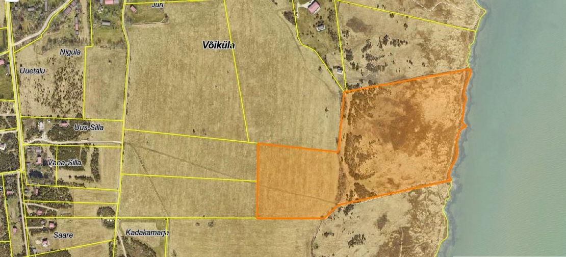 Muhu vald, Võiküla, Toomiranna