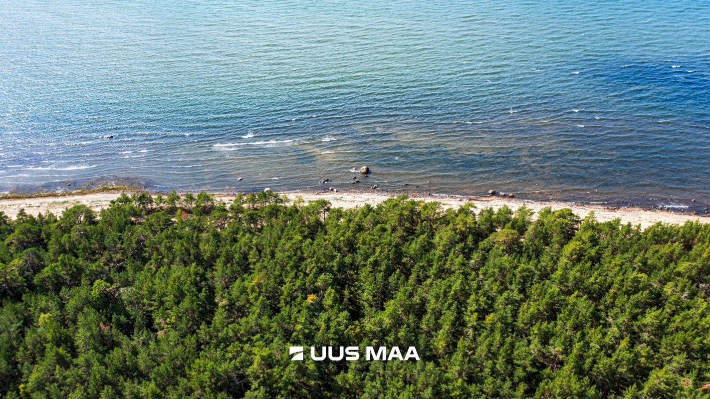 Lääne-Nigula vald, Dirhami küla/Derhamn, Sandviki vkt 5