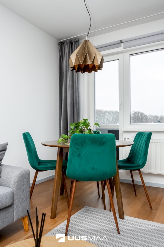 Tallinn, Mustamäe linnaosa, A. H. Tammsaare tee 63