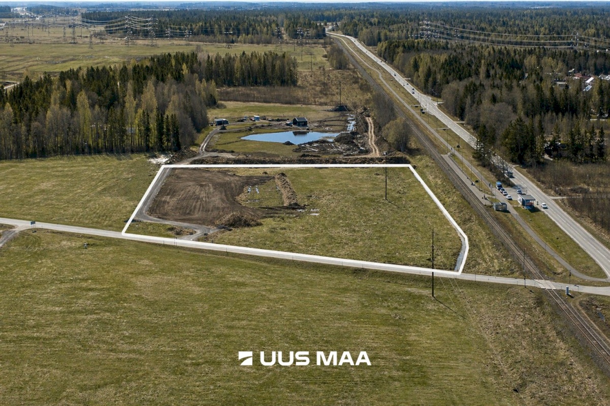 Saku vald, Kajamaa küla, Kuninga