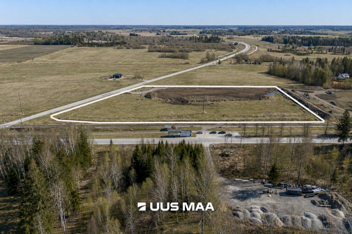 Saku vald, Kajamaa küla, Kuninga