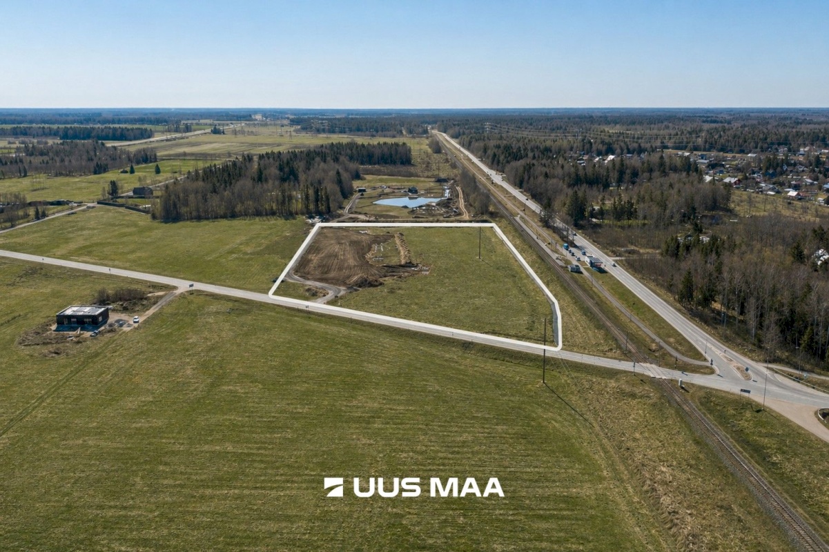 Saku vald, Kajamaa küla, Kuninga