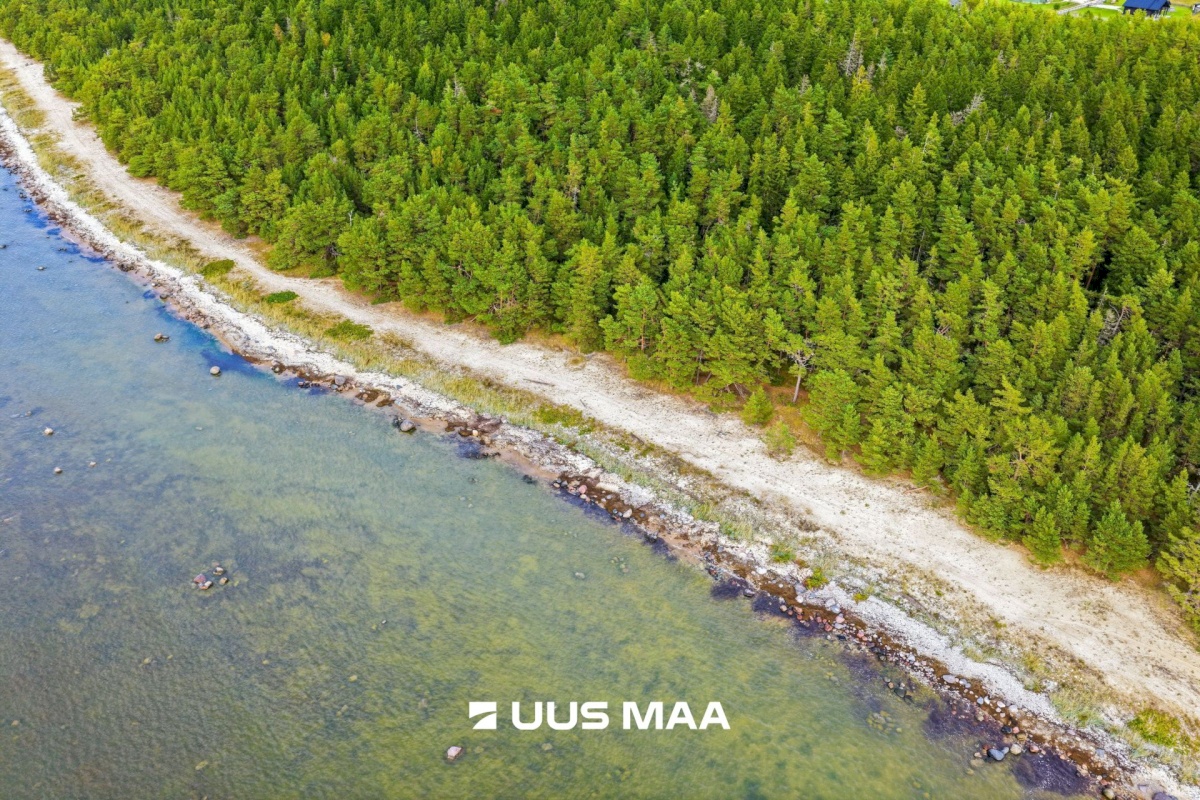 Lääne-Nigula vald, Spithami küla/Spithamn, Suur-Martonsi tee 19