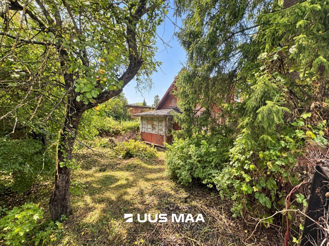 Rakvere linn, Võidu 94
