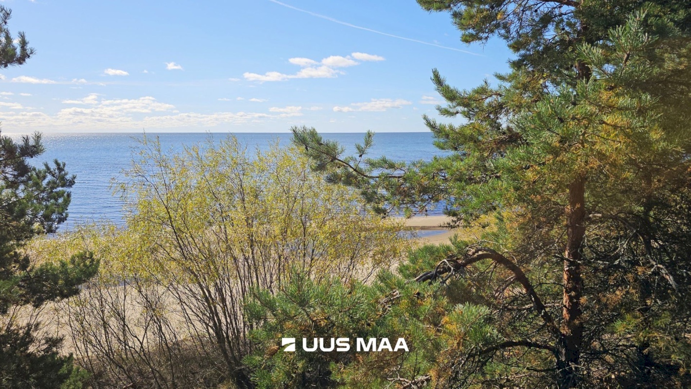 Alutaguse vald, Smolnitsa küla, Tamme tee 18