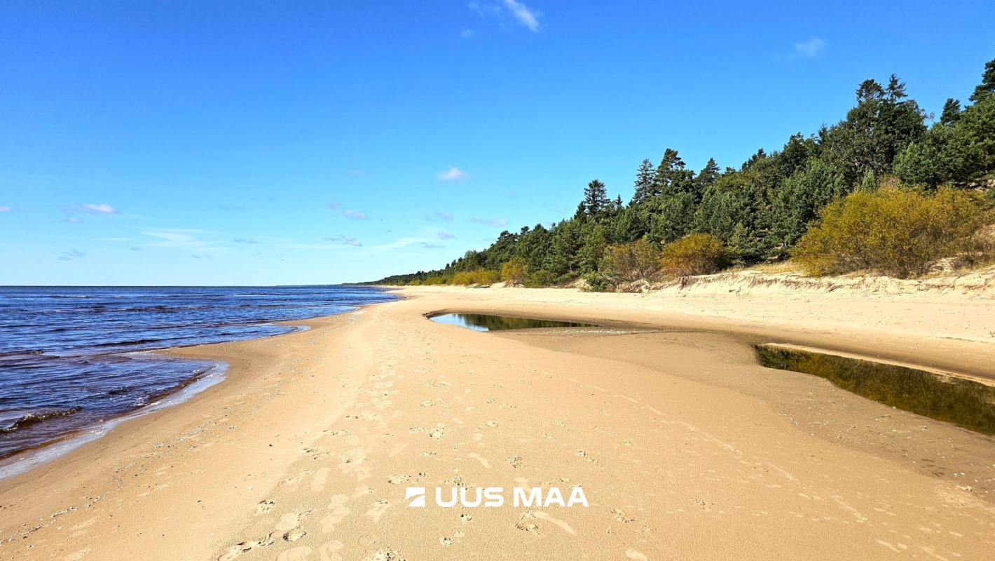 Alutaguse vald, Smolnitsa küla, Tamme tee 18