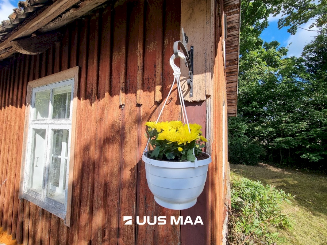 Haljala vald, Sauste küla, Kärka
