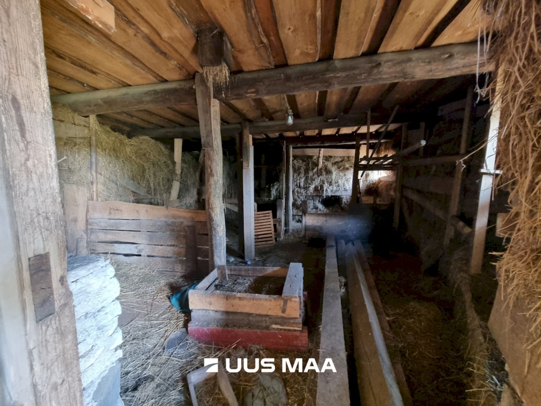 Haljala vald, Sauste küla, Kärka