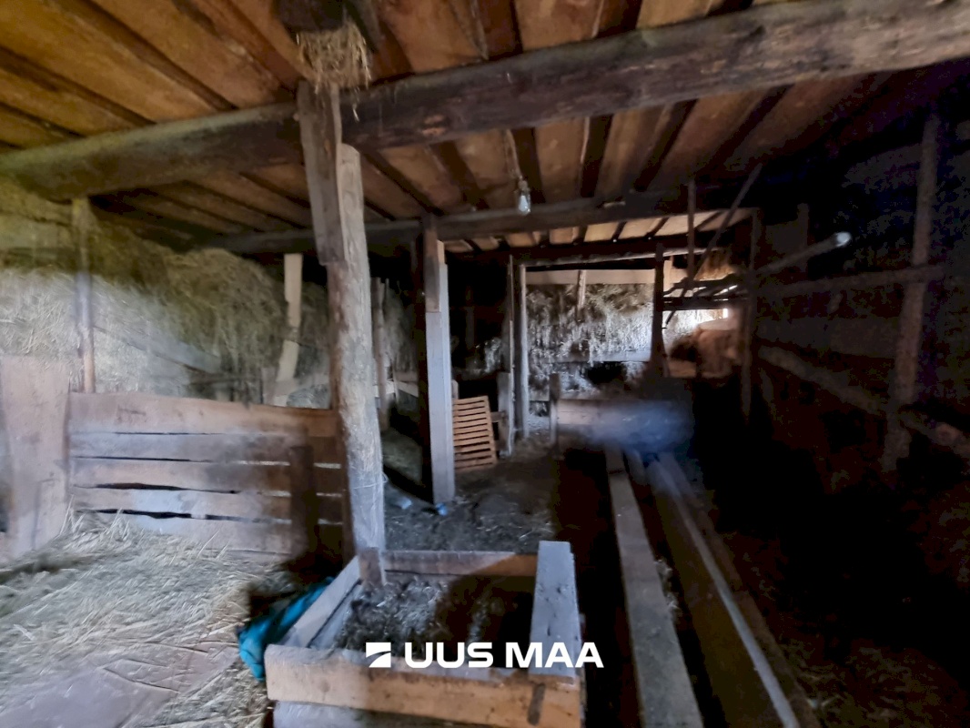 Haljala vald, Sauste küla, Kärka