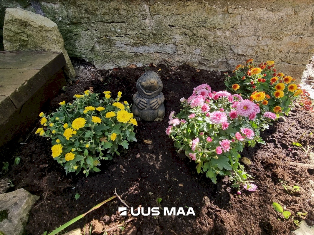 Haljala vald, Sauste küla, Kärka
