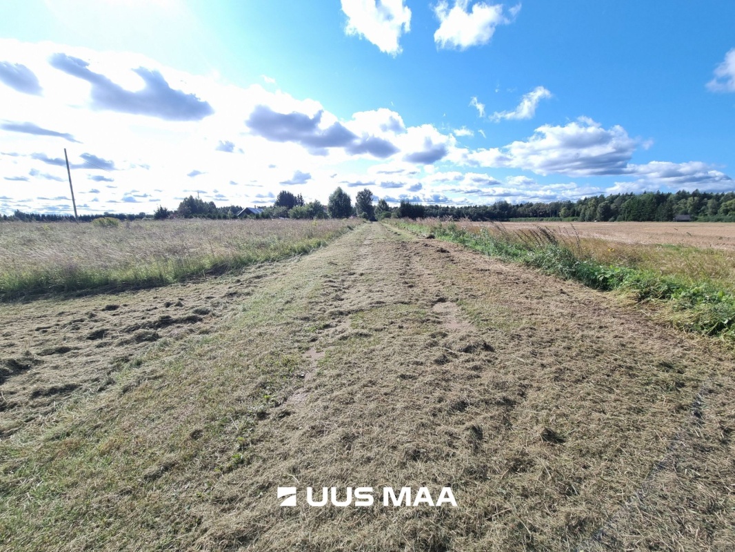 Haljala vald, Sauste küla, Kärka