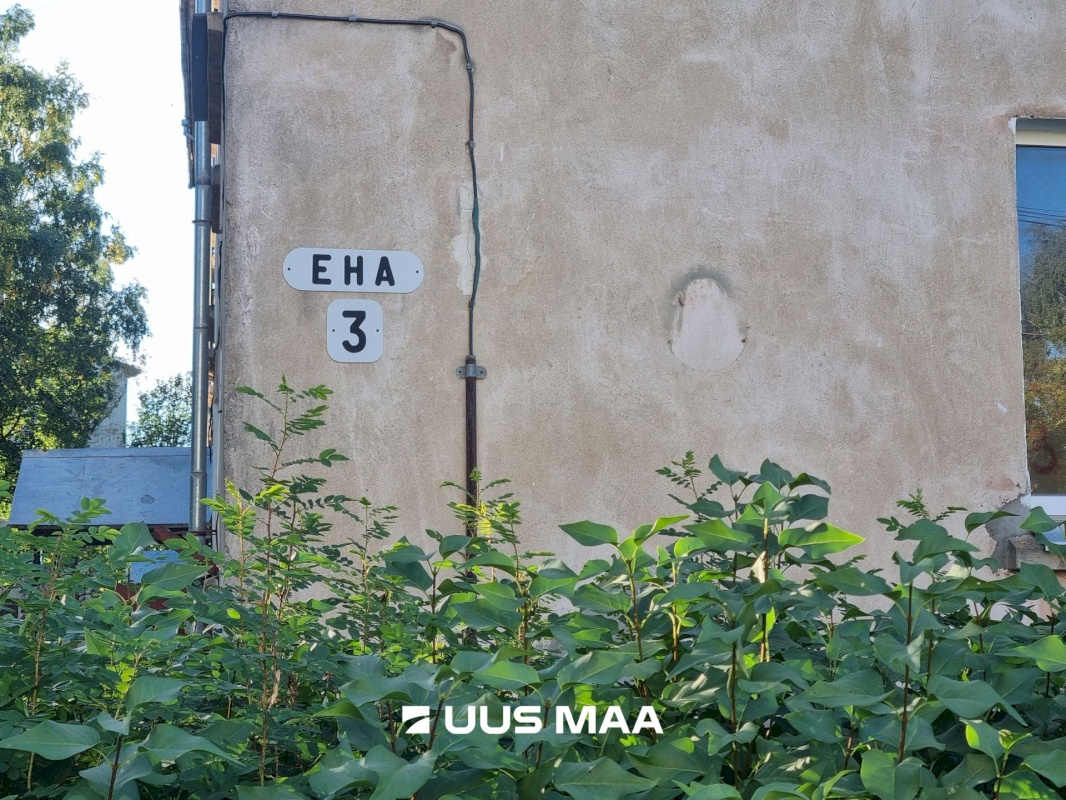 Viru-Nigula vald, Kunda linn, Eha 3