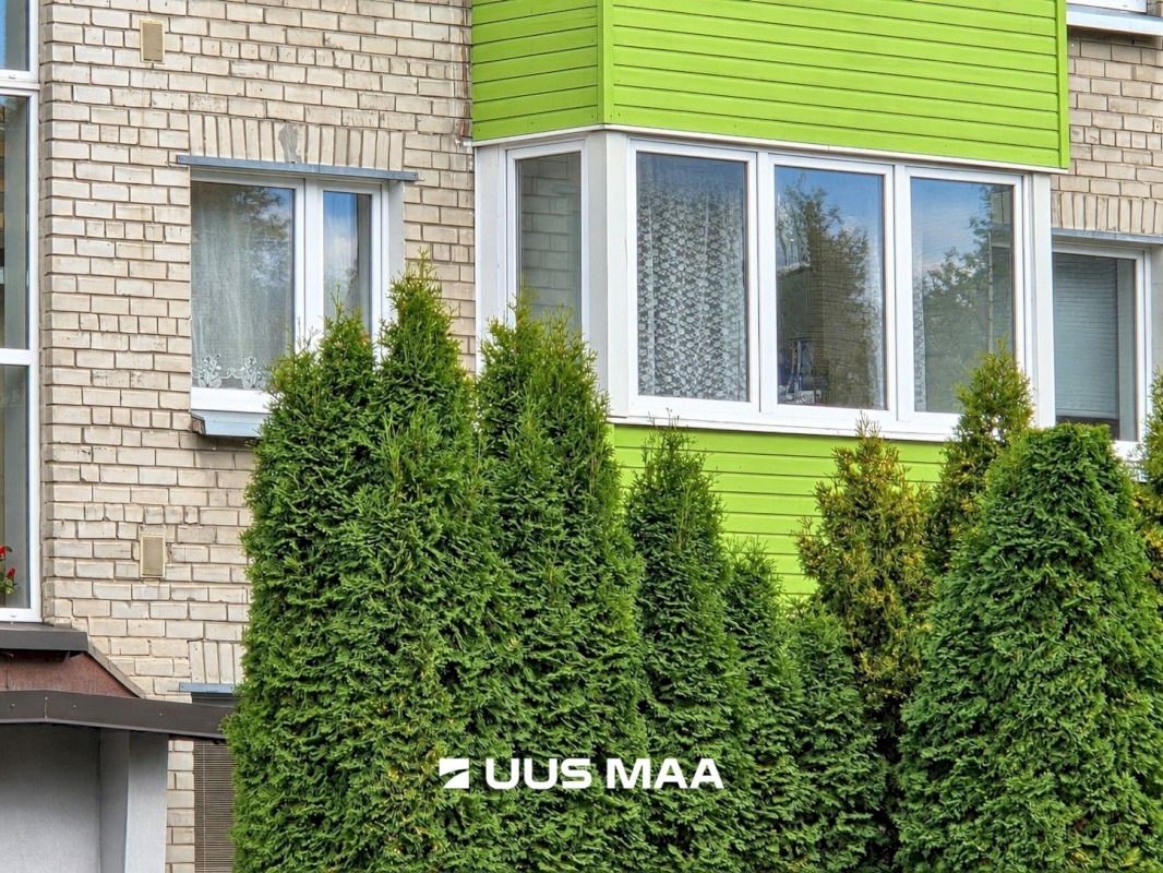 Tallinn, Lasnamäe linnaosa, Sikupilli, Majaka 11