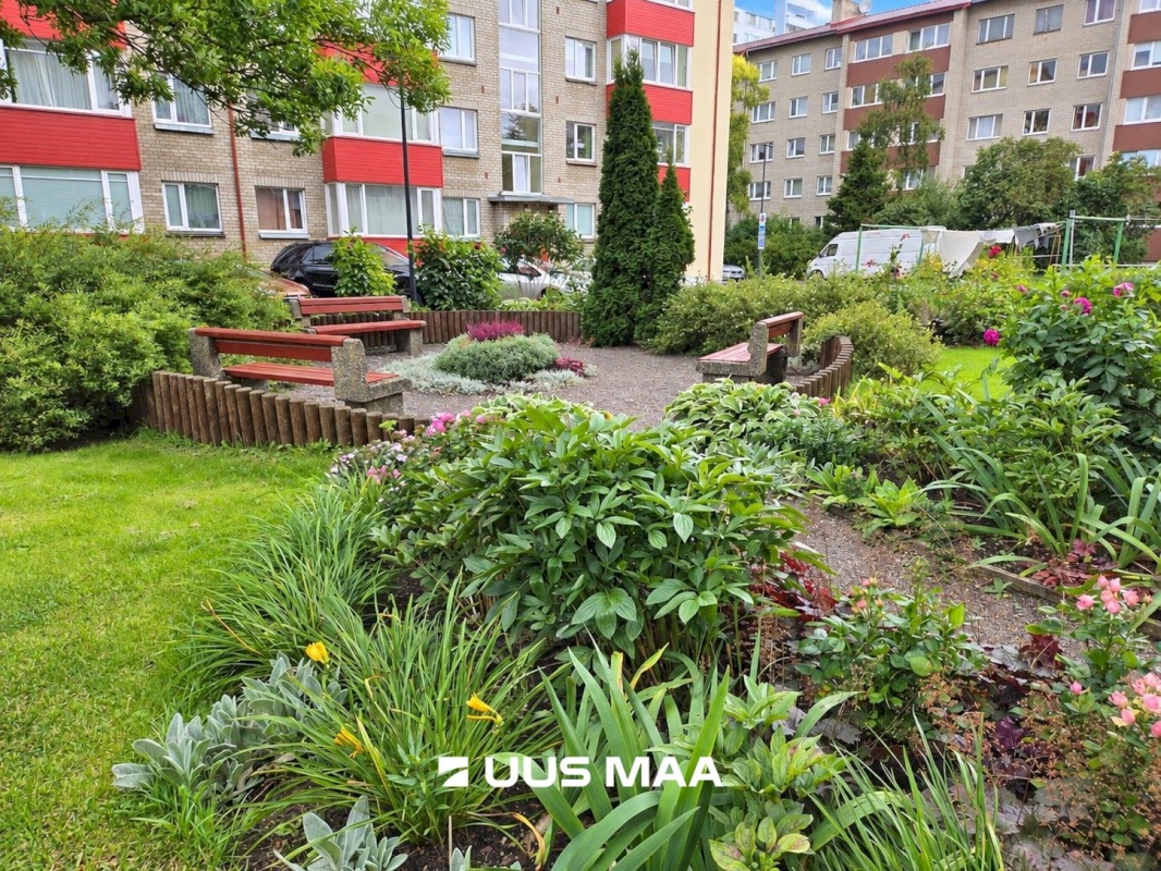 Tallinn, Lasnamäe linnaosa, Sikupilli, Majaka 11