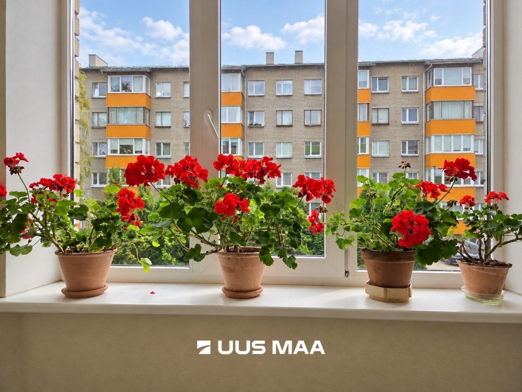 Tallinn, Lasnamäe linnaosa, Sikupilli, Majaka 11