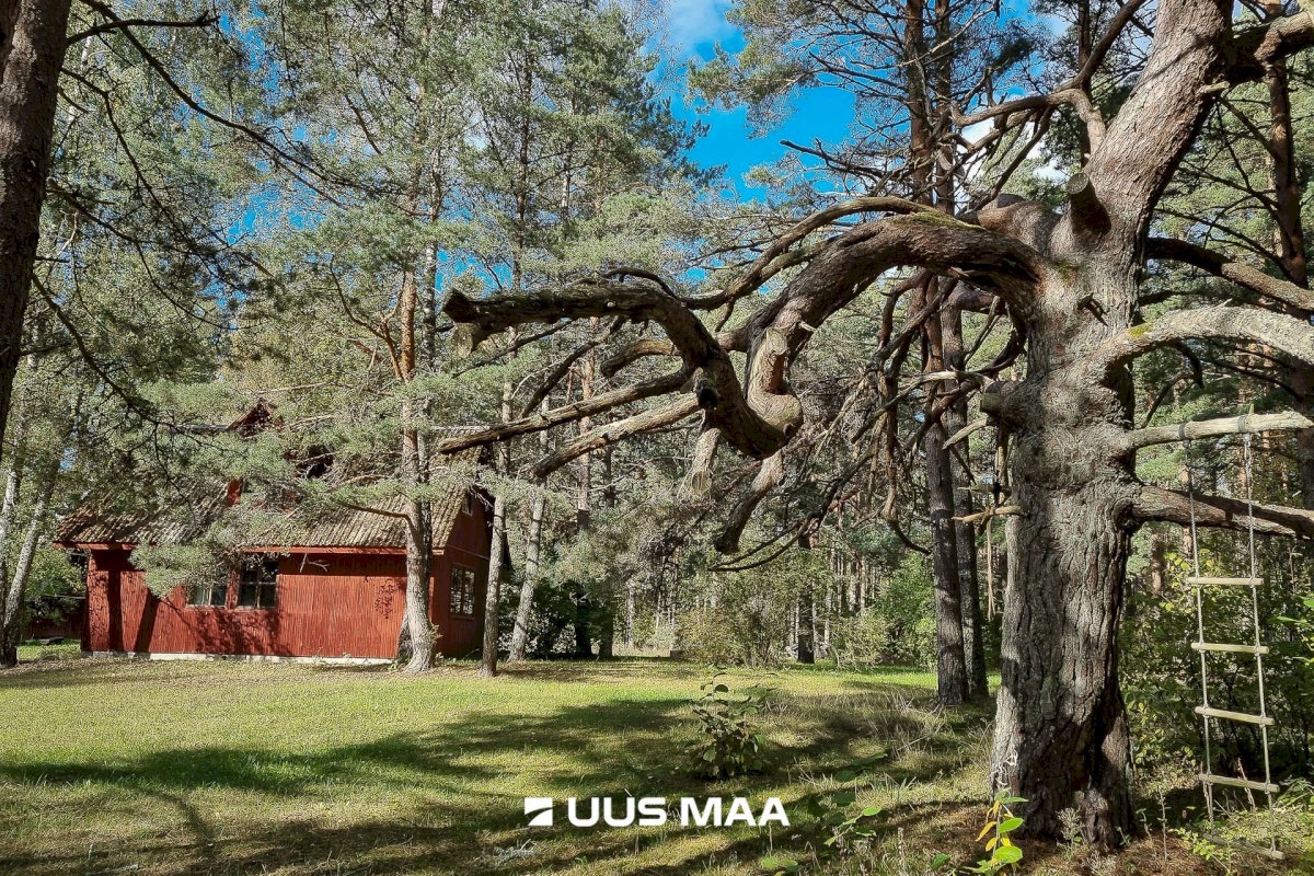 Lääne-Nigula vald, Einbi küla/Enby