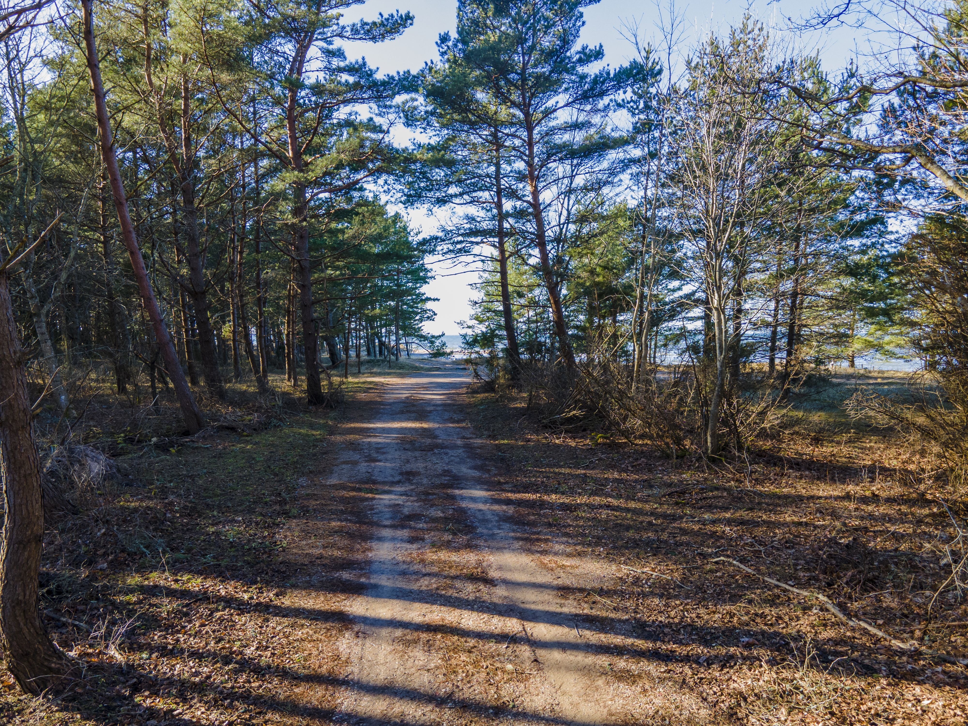 Saaremaa vald, Murika küla, Otsa